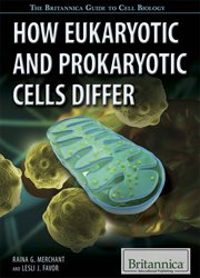 How eukaryotic and prokaryotic cells differ cover image