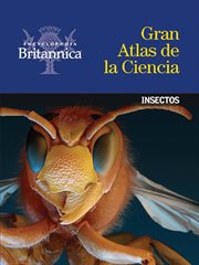 Insectos cover image