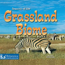 Cover image for Seasons of the Grassland Biome