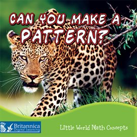 Cover image for Can You Make a Pattern?