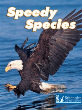 Cover image for Speedy Species