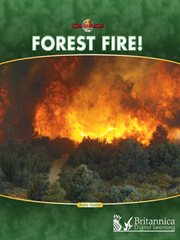 Forest fire! cover image