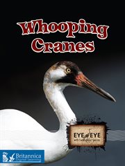 Whooping cranes cover image
