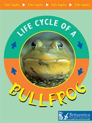 Bullfrog cover image