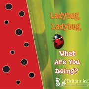 Ladybug, ladybug, what are you doing? cover image
