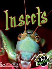 Insects cover image