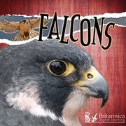 Falcons cover image