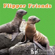 Flipper friends cover image