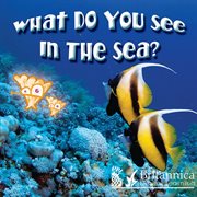 What do you see in the sea? cover image