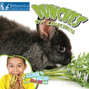Bunches of lunches cover image