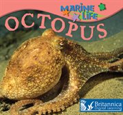 Octopus cover image