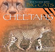 Cheetahs cover image