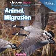 Animal Migration cover image