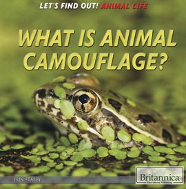 Cover image for What Is Animal Camouflage?