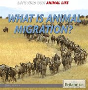 What is animal migration? cover image