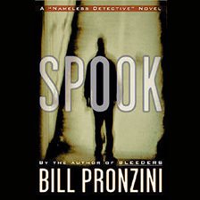 Cover image for Spook