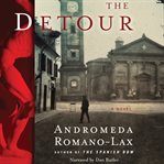 The detour a novel cover image