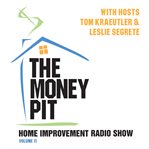 The money pit, vol. 11 : feb-apr 2017 content cover image