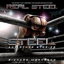 Cover image for Steel and Other Stories