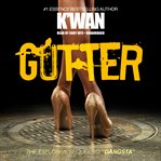 Gutter cover image