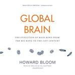 Global brain the evolution of mass mind from the big bang to the 21st century cover image