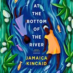 At the bottom of the river cover image