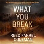 What you break : a novel cover image