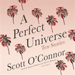 A perfect universe : ten stories cover image