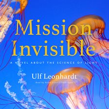 Cover image for Mission Invisible