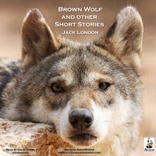 Cover image for Brown Wolf, and Other Short Stories