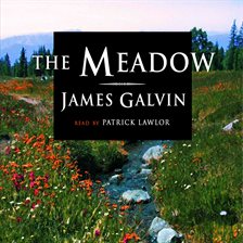 the meadow book cover