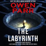 The labyrinth cover image