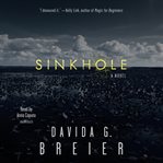 Sinkhole : a novel cover image