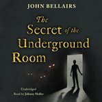 The Secret of the Underground Room cover image