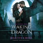 Waking the dragon cover image