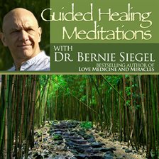Cover image for Guided Healing Meditations