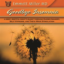 Cover image for Goodbye Insomnia