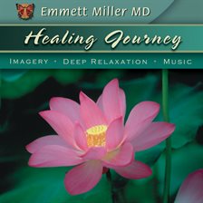 Cover image for Healing Journey