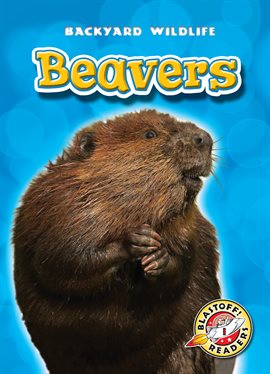 Cover image for Beavers