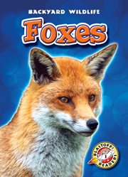 Foxes cover image