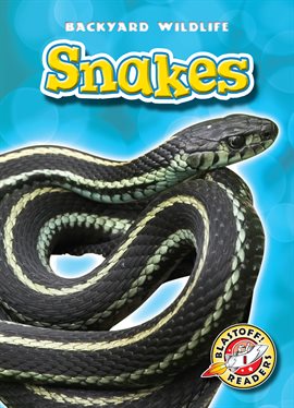 Cover image for Snakes