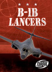 B-1B Lancers cover image