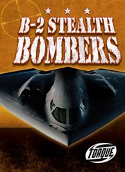 B-2 stealth bombers cover image