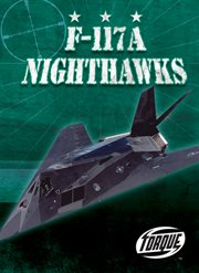 F-117A Nighthawks cover image