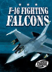 F-16 Fighting Falcons cover image
