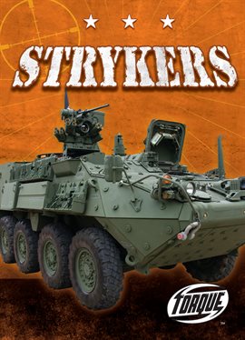 Cover image for Strykers