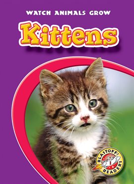 Cover image for Kittens