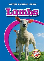 Lambs cover image