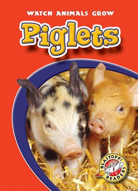 Umschlagbild für Piglets