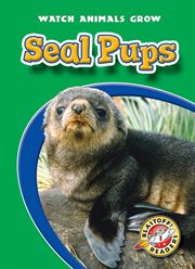 Seal pups cover image